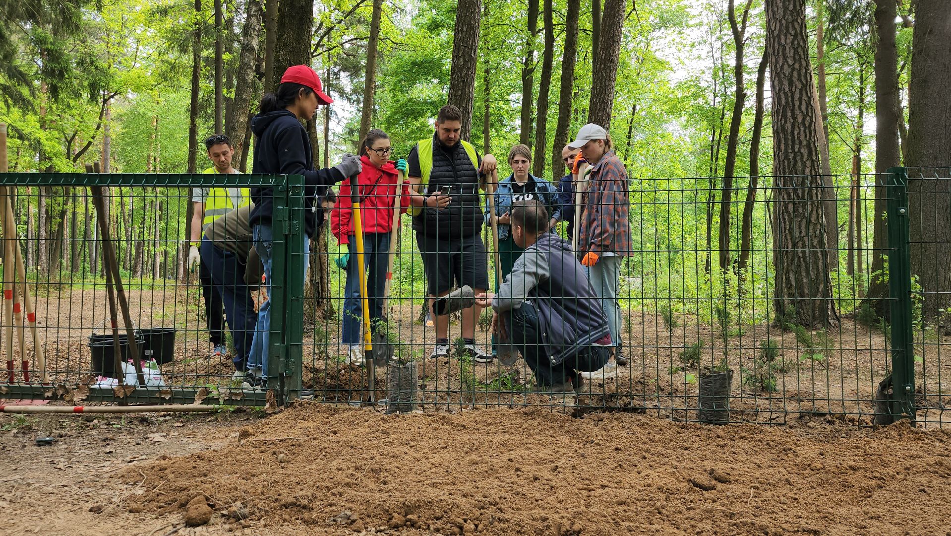 экологическая акция, посадка деревьев, парк Волхонка, Ногинск, Богородский городской округ,