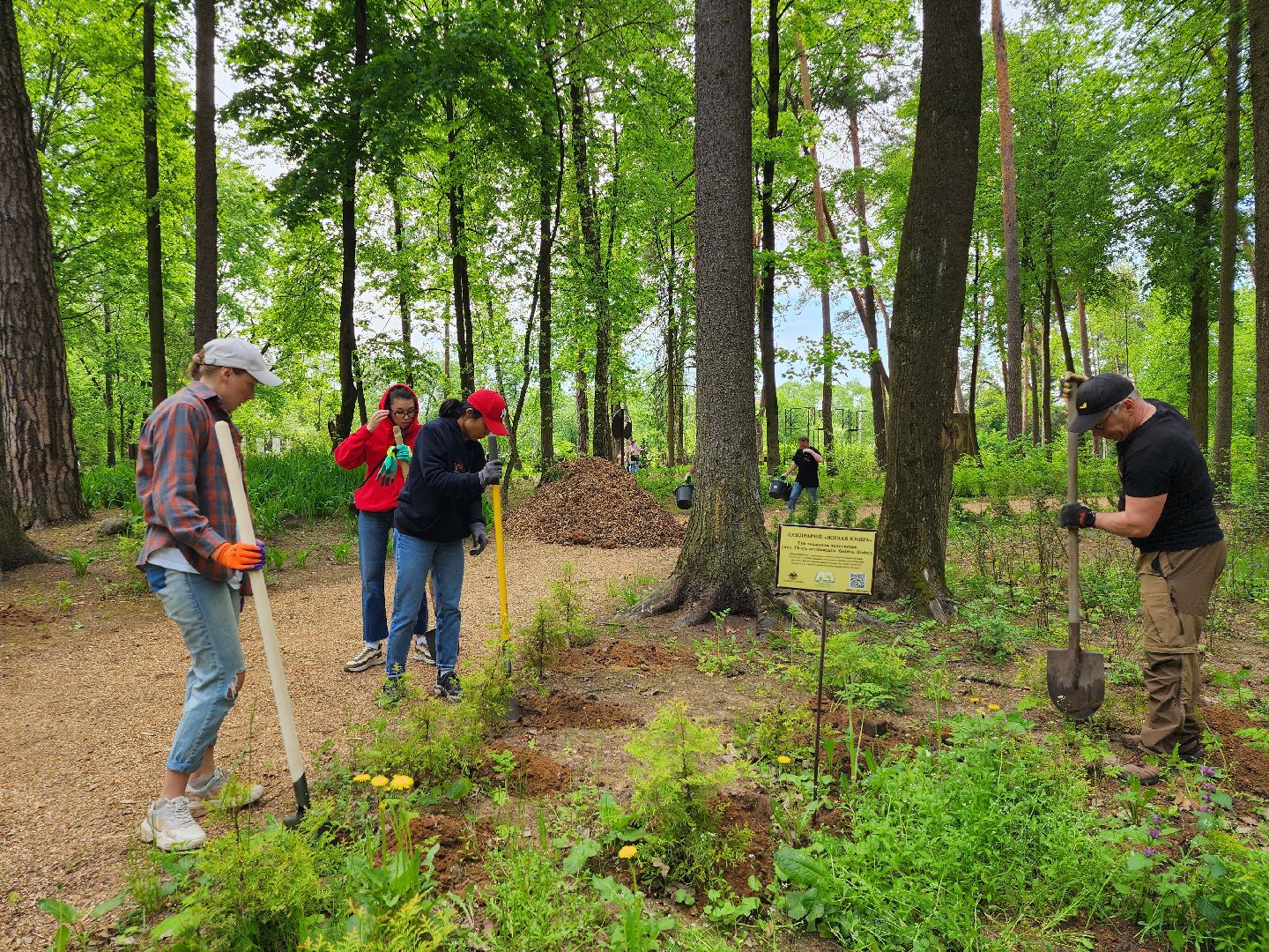 экологическая акция, посадка деревьев, парк Волхонка, Ногинск, Богородский городской округ,