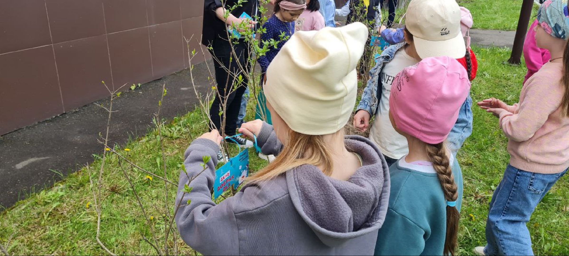 Реутов, образование, традиции, посадка кустарников, аллея выпускников,