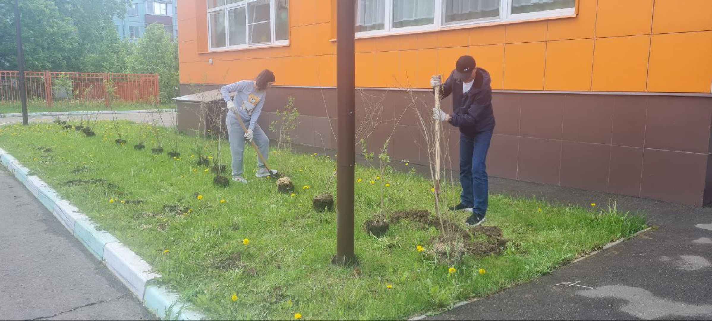 Реутов, образование, традиции, посадка кустарников, аллея выпускников,