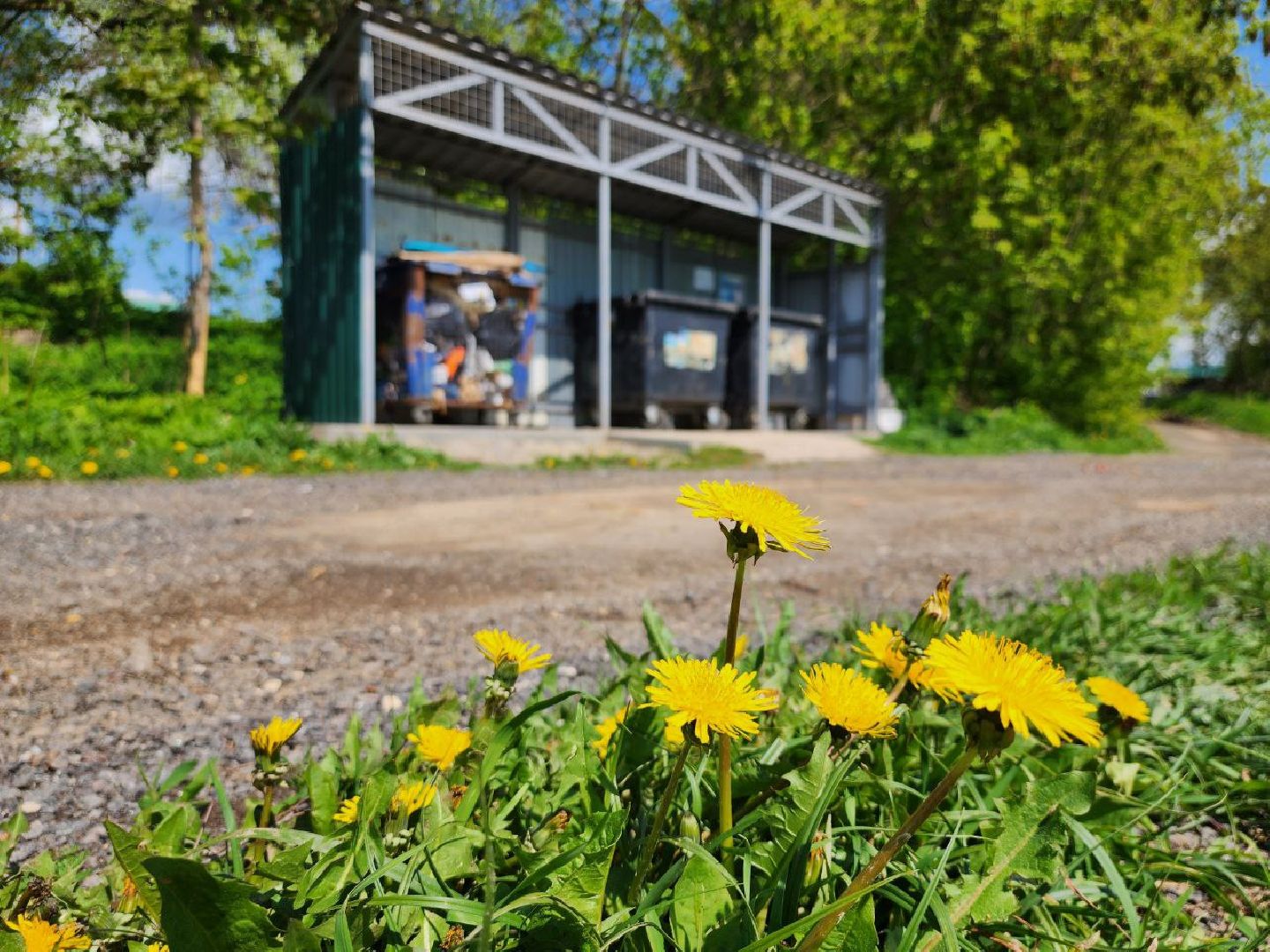 можайск, можайский городской округ, подмосковье, кп, контейнерная площадка, тко, мусор, вывоз тко, решение проблемы,жкх,