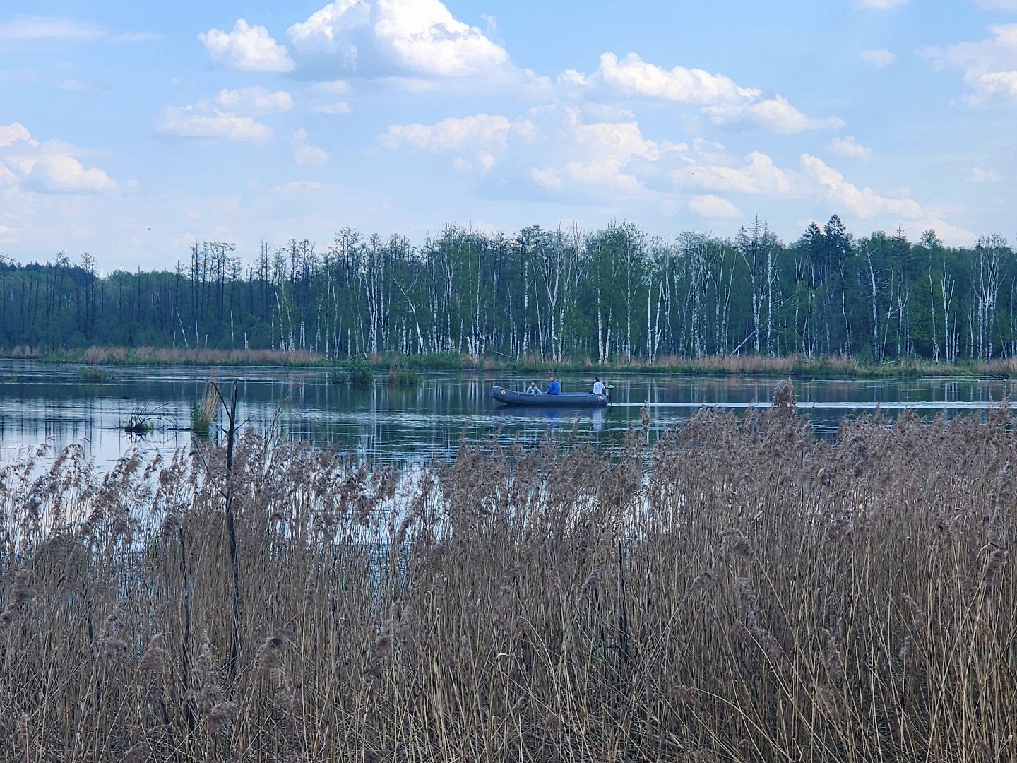 лосиный остров, понтонная тропа,
