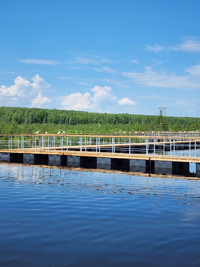 лосиный остров, понтонная тропа,