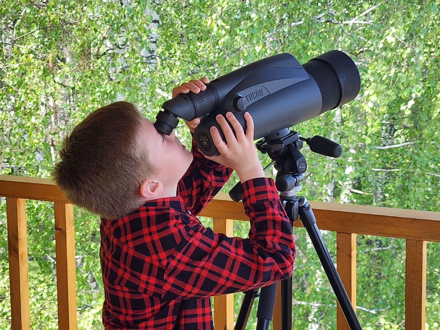 лосиный остров, понтонная тропа,