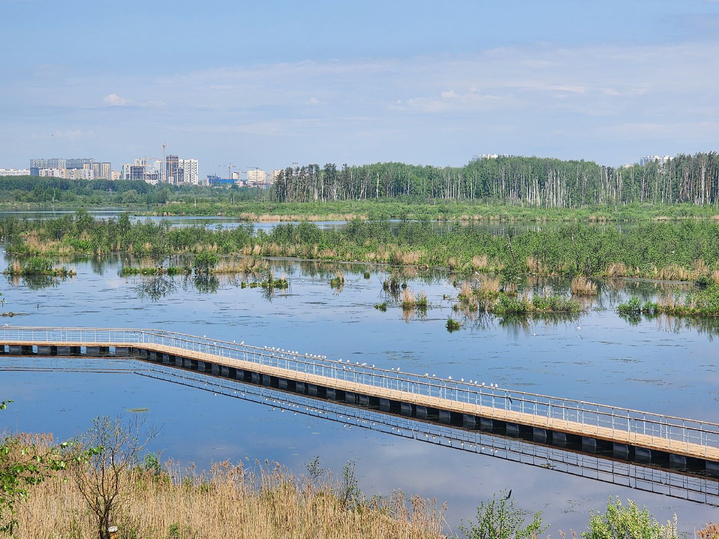 лосиный остров, понтонная тропа,