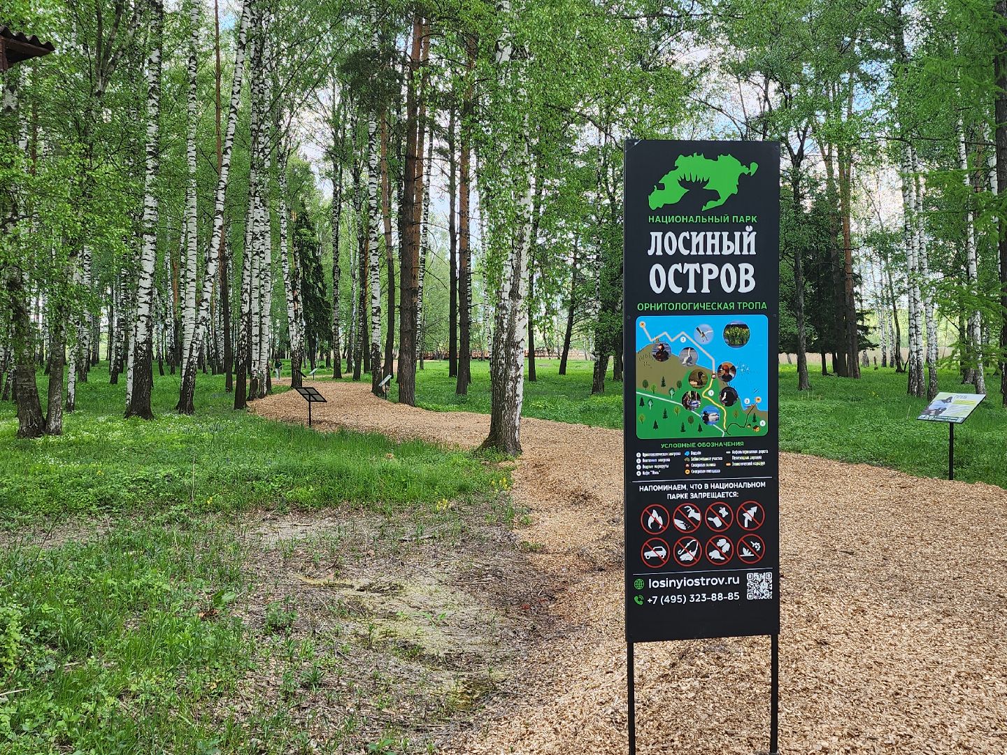 лосиный остров, понтонная тропа,