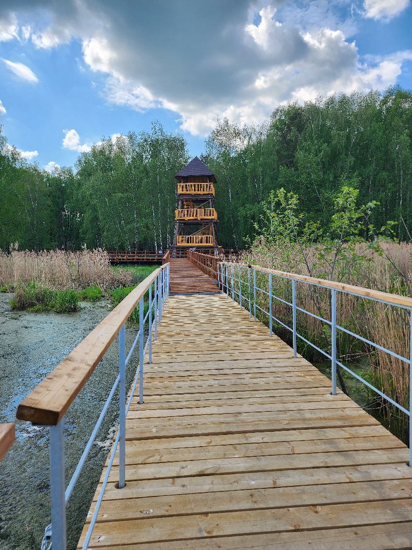 лосиный остров, понтонная тропа,