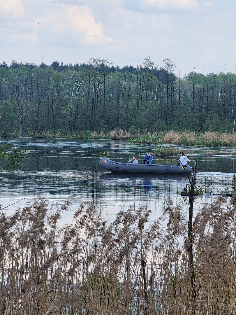 лосиный остров, понтонная тропа,