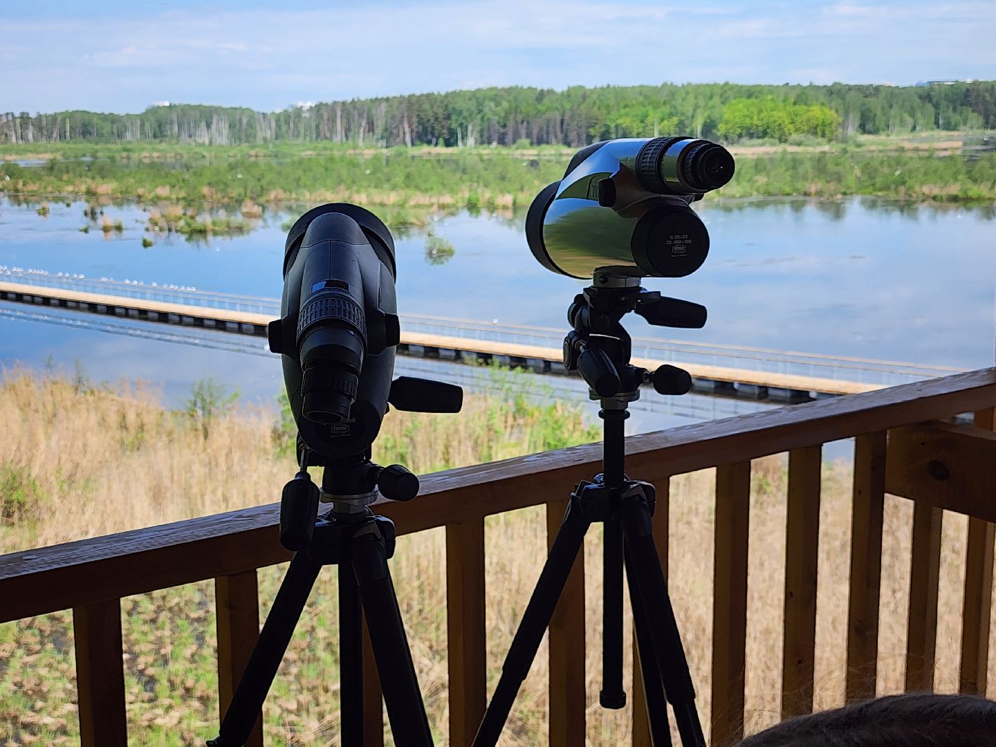 лосиный остров, понтонная тропа,