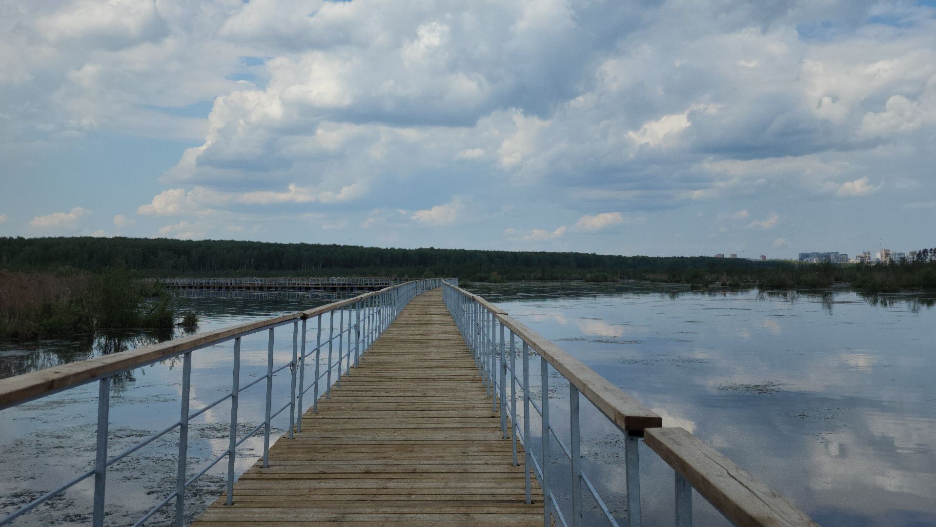 лосиный остров, понтонная тропа,