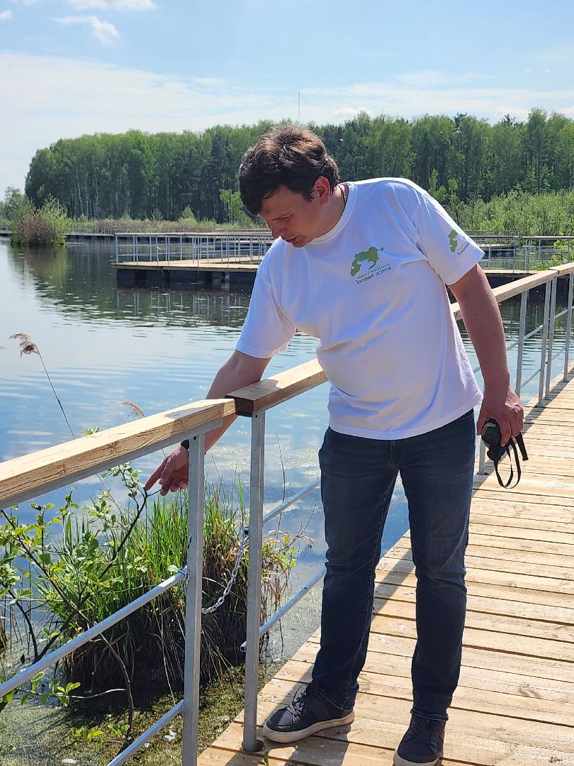 лосиный остров, понтонная тропа,