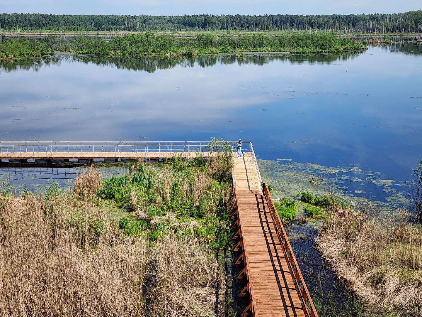 лосиный остров, понтонная тропа,