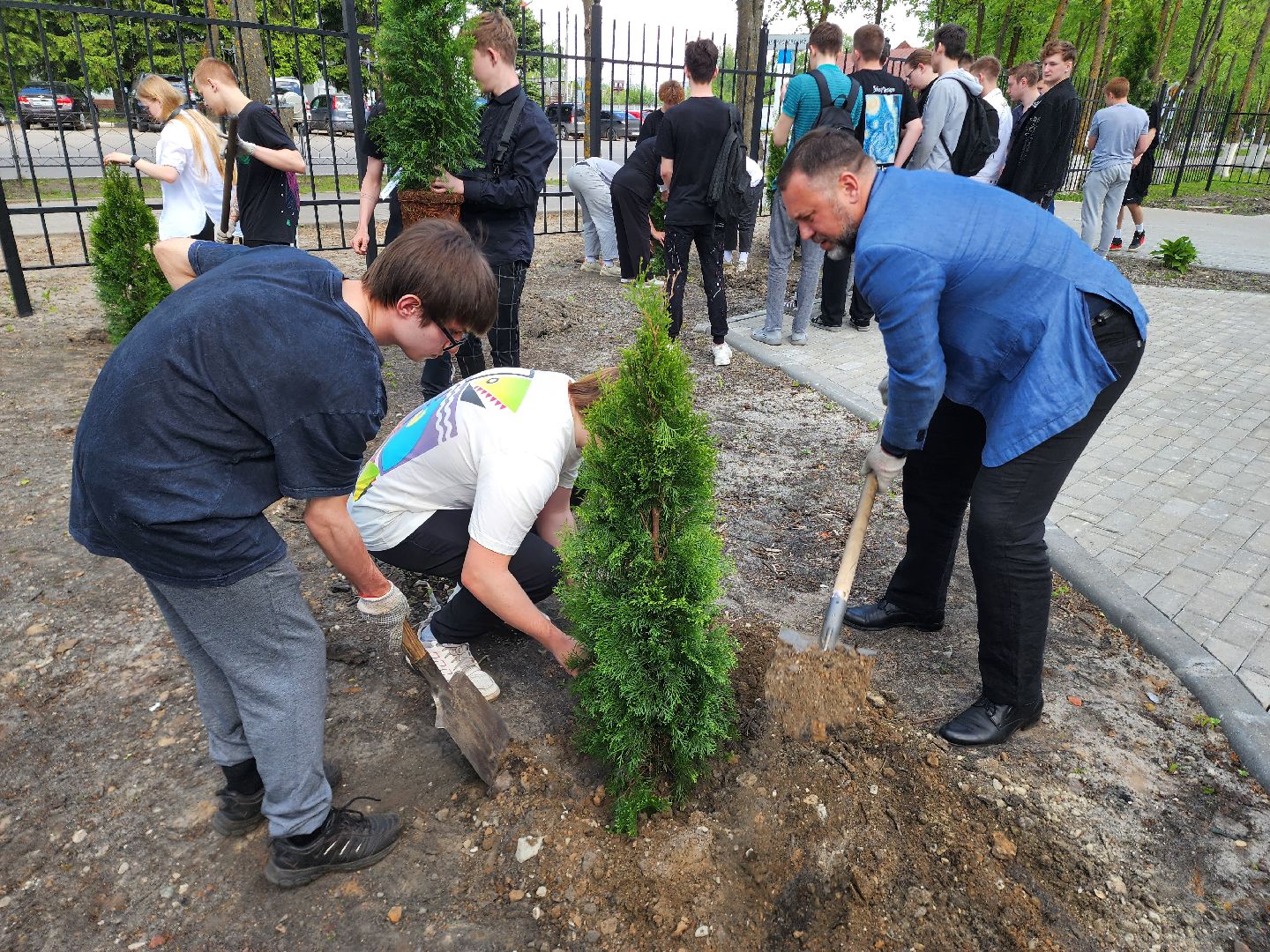 шатура, шэт, высадка туй, выпускные техникума, высадка деревьев,
