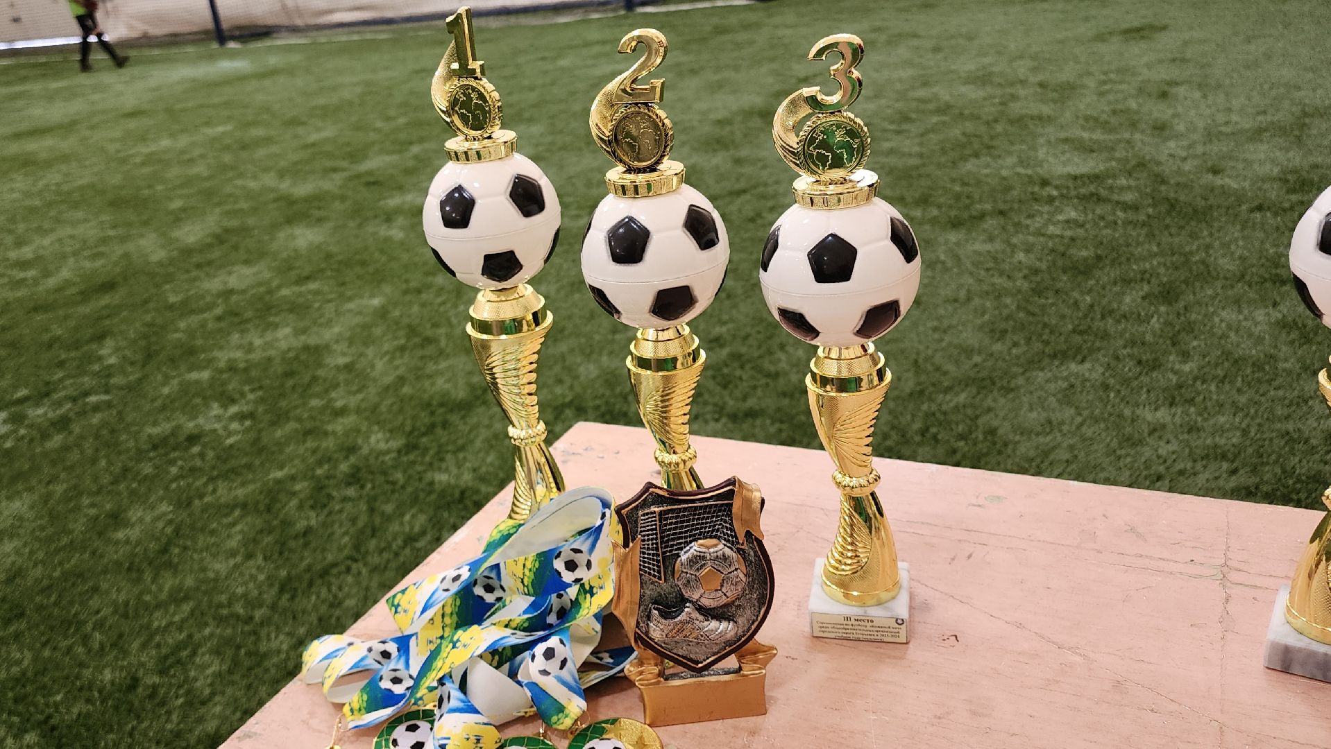 Егорьевск, Подмосковье, Московская область, Спорт, Турнир, Кожаный мяч, школьники,