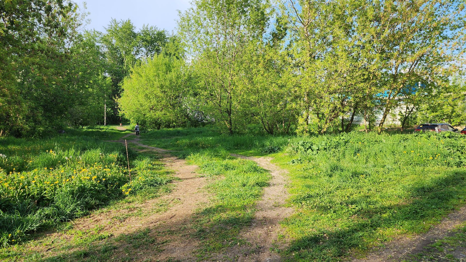 долгопрудный, благоустровйство, народные тропы, дорожки, поребрик, Дунькина деревня,