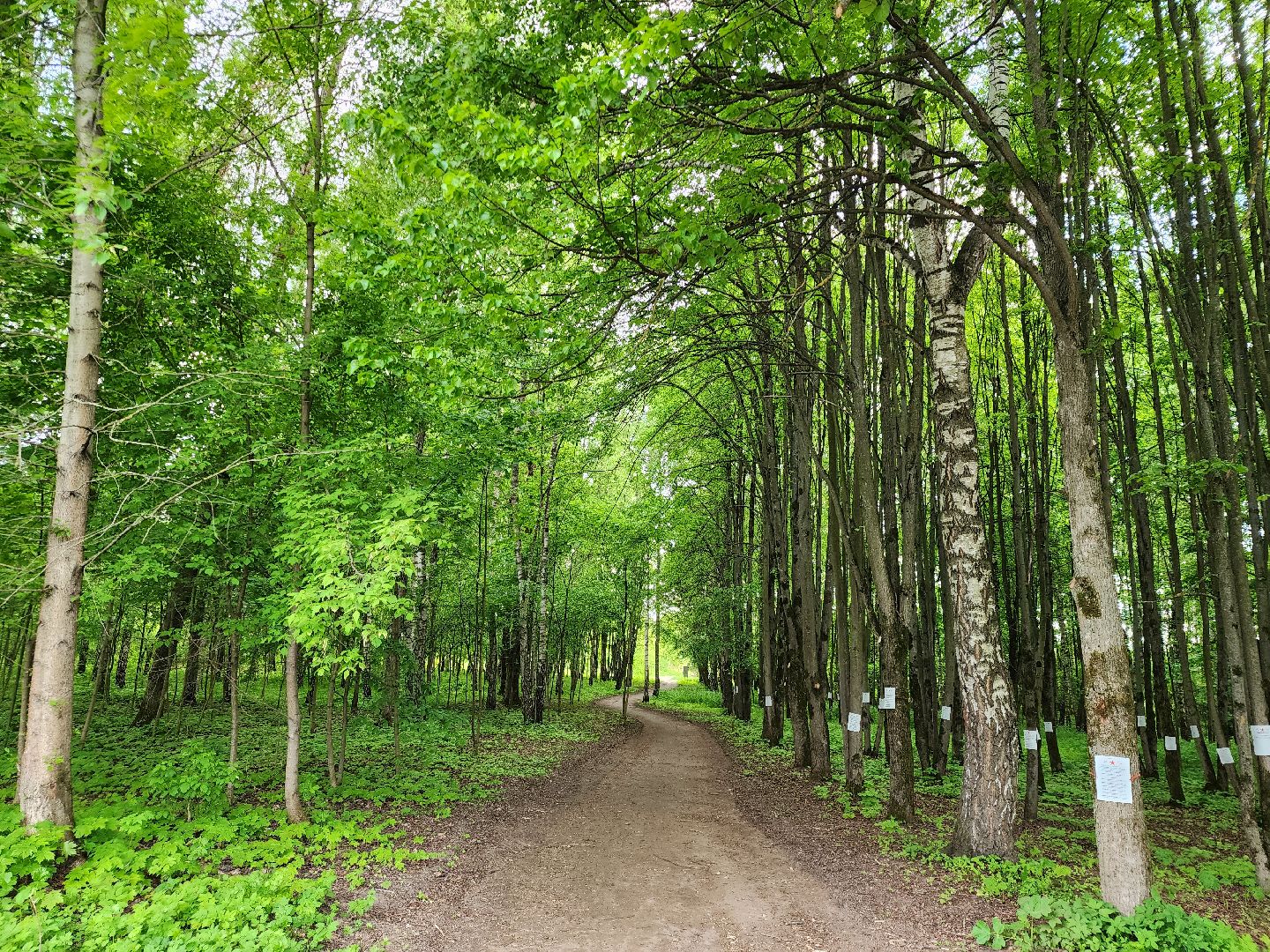 Звенигород, Благоустройство,