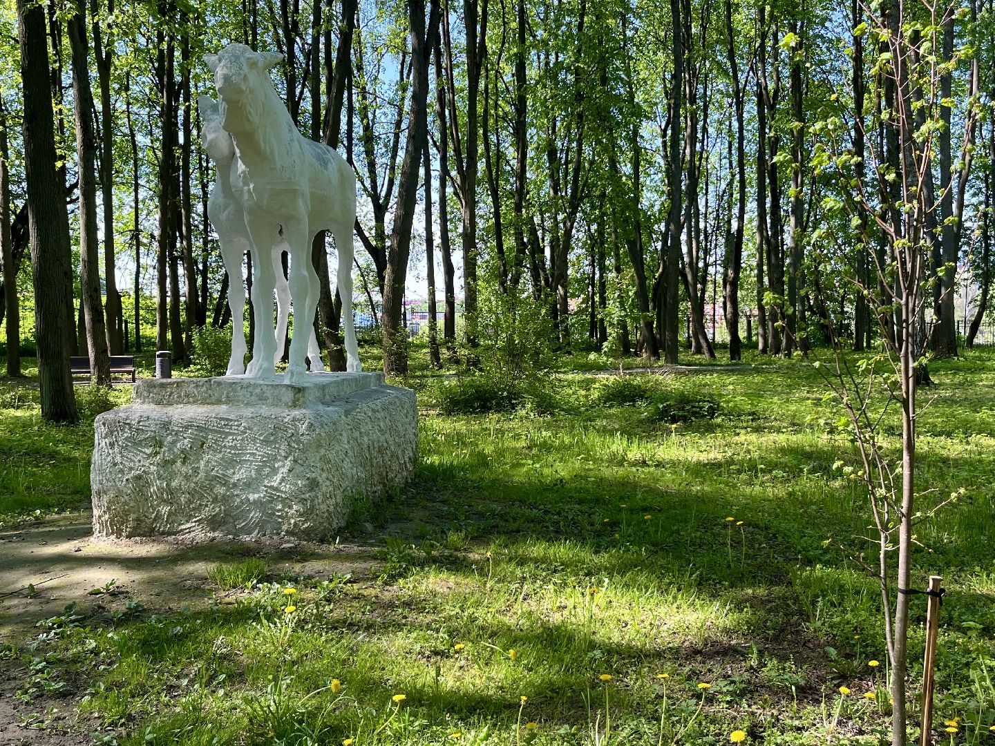 наро-фоминский городской округ, центральный парк наро-фоминска, парк памяти, совет депутатов наро-фоминск,