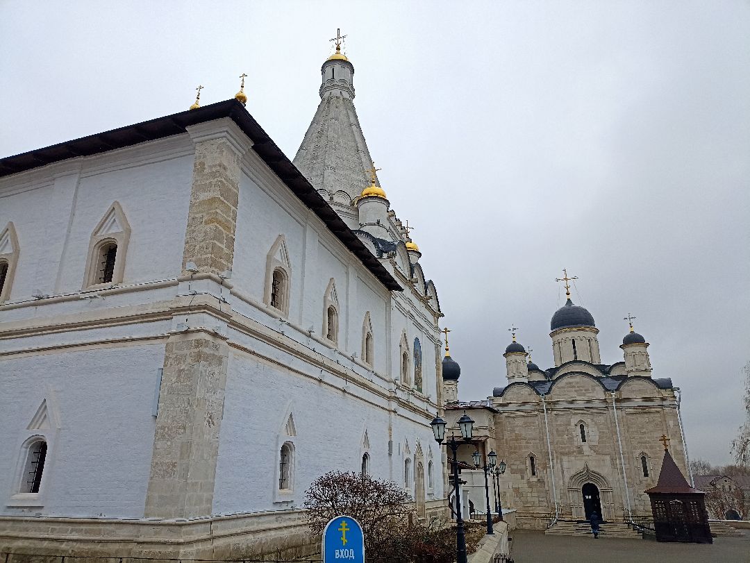 Серпухов, верба, весна