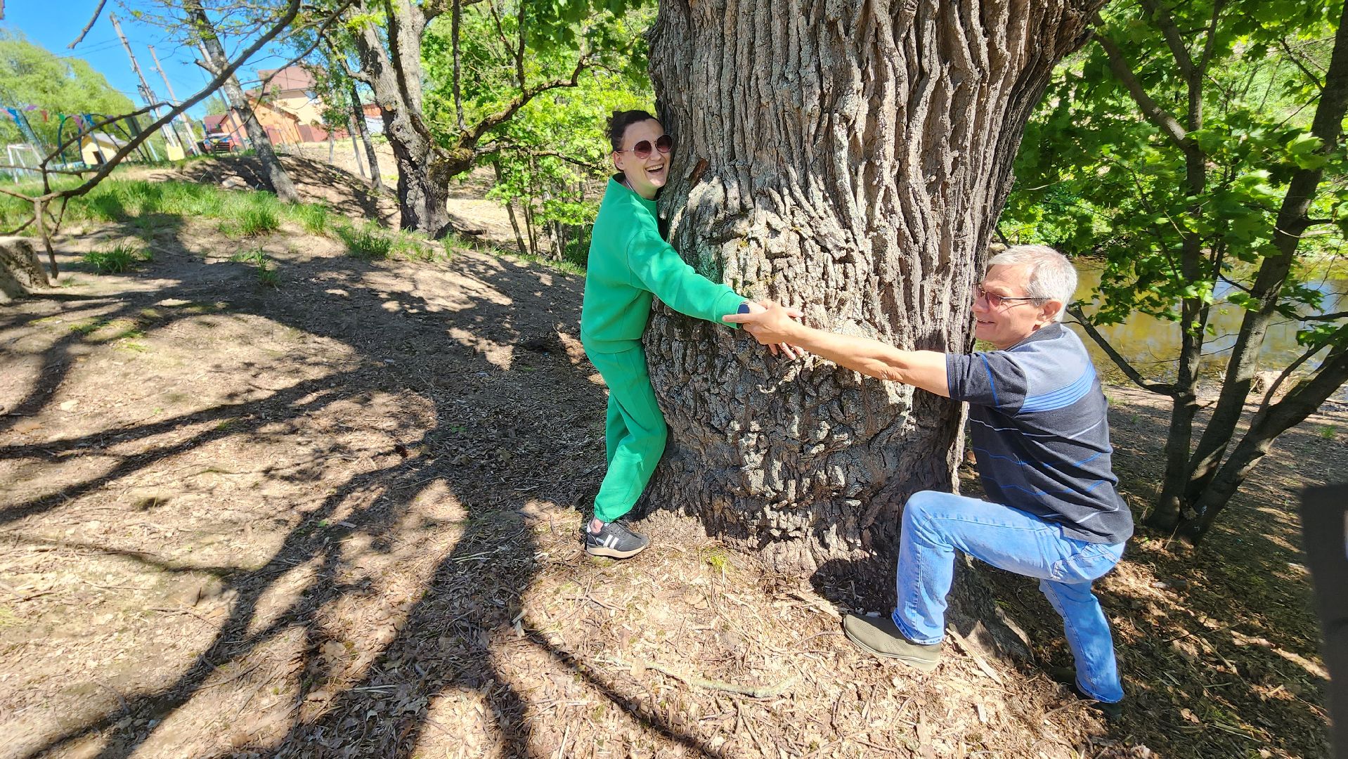 история, экология, дерево, краеведение,