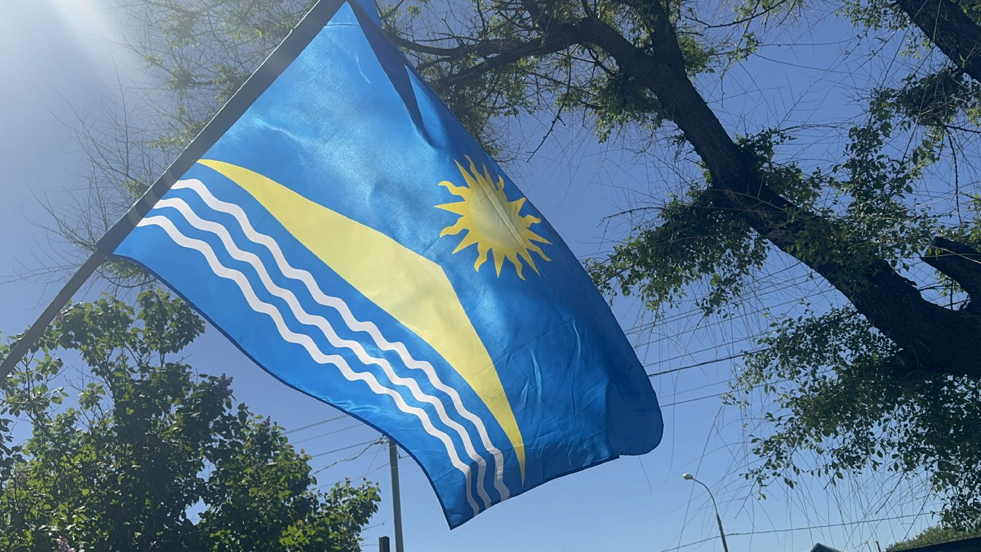 Солнечногорск, Опиловка деревьев, жители, выездная администрация, глава,