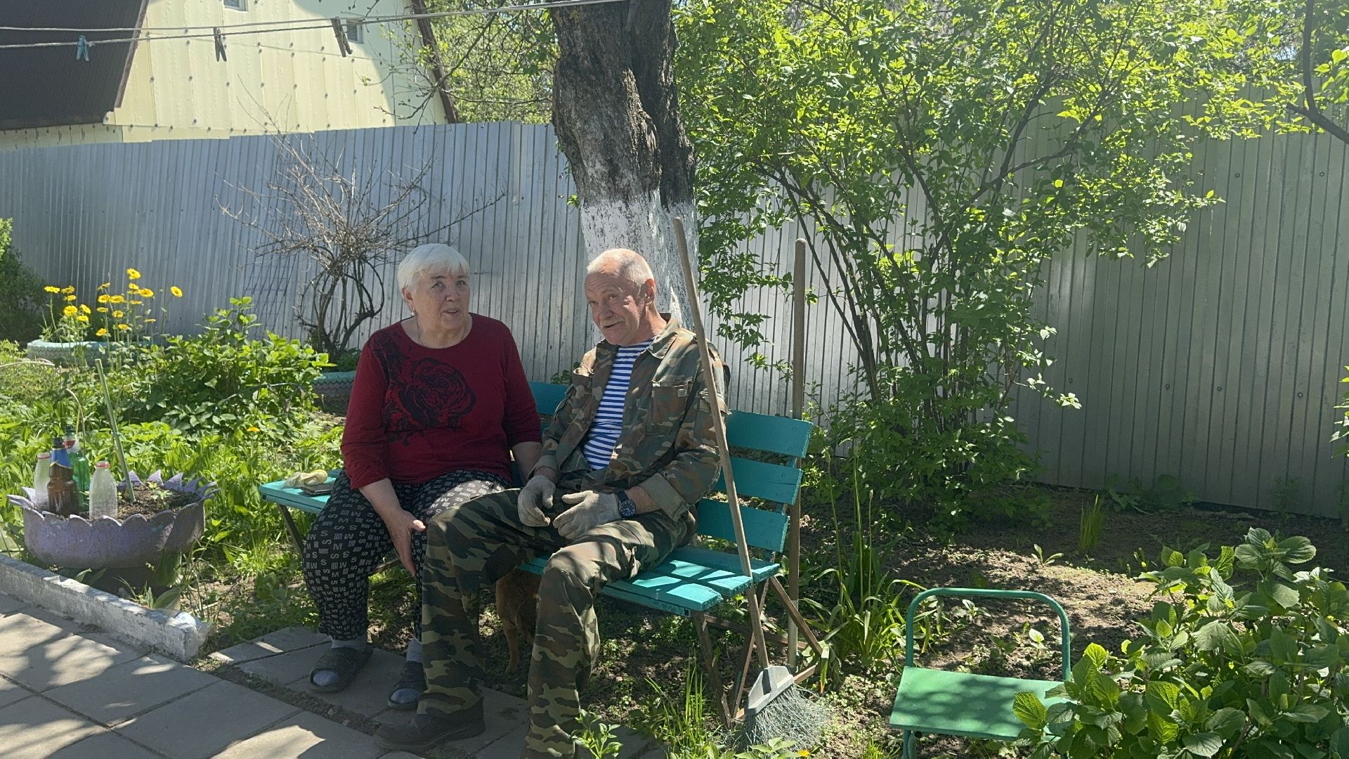 Солнечногорск, Опиловка деревьев, жители, выездная администрация, глава,