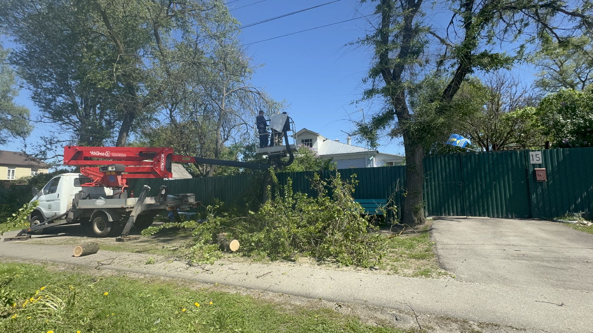 Солнечногорск, Опиловка деревьев, жители, выездная администрация, глава,