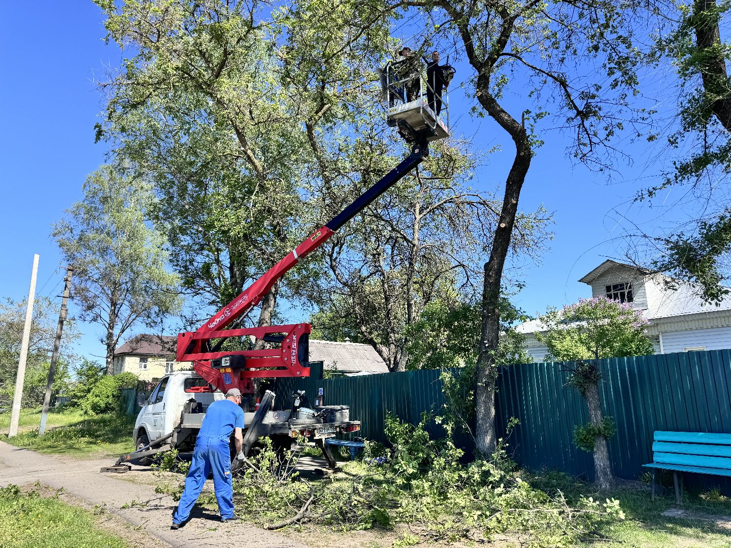 Солнечногорск, Опиловка деревьев, жители, выездная администрация, глава,