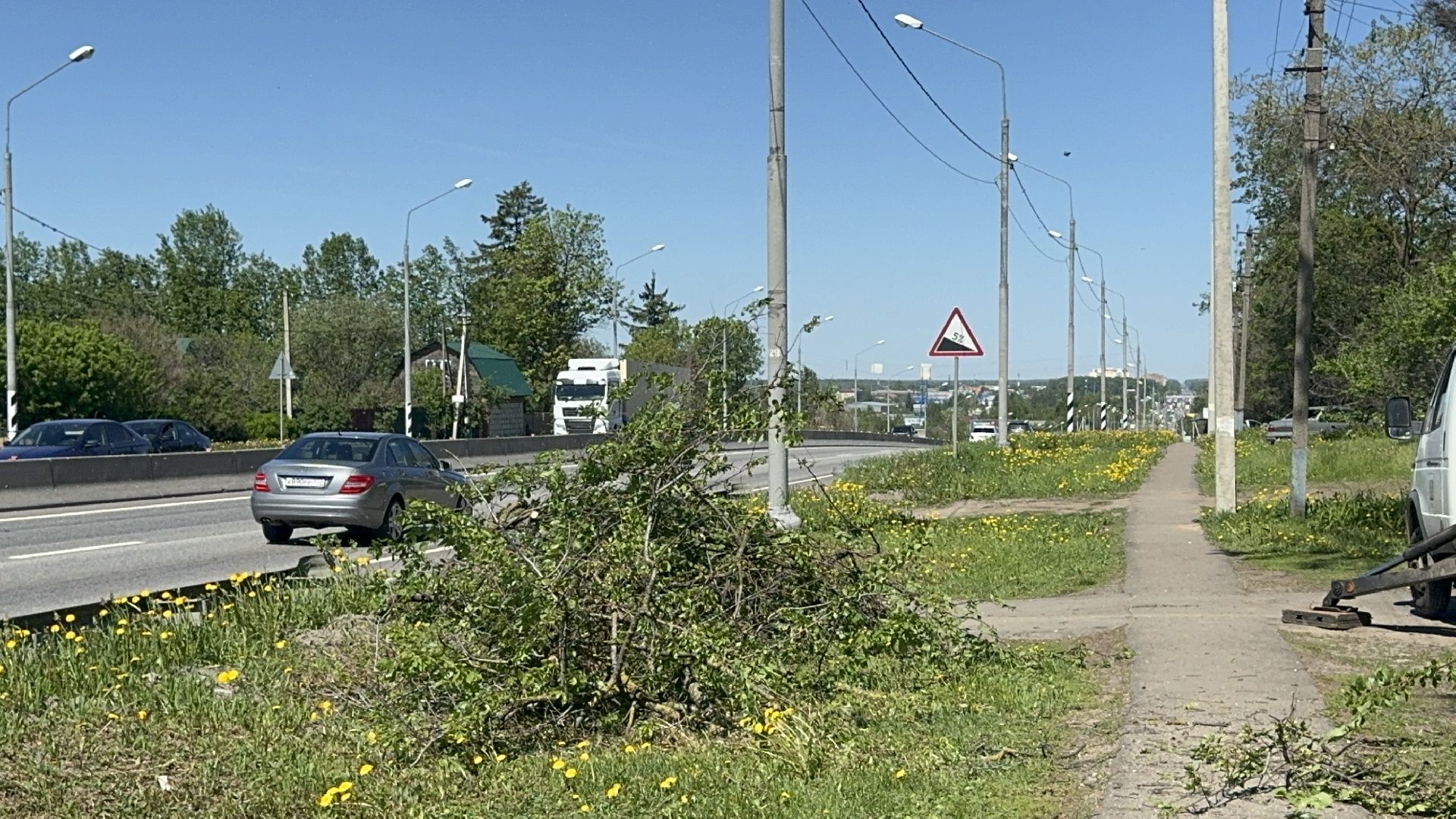 Солнечногорск, Опиловка деревьев, жители, выездная администрация, глава,