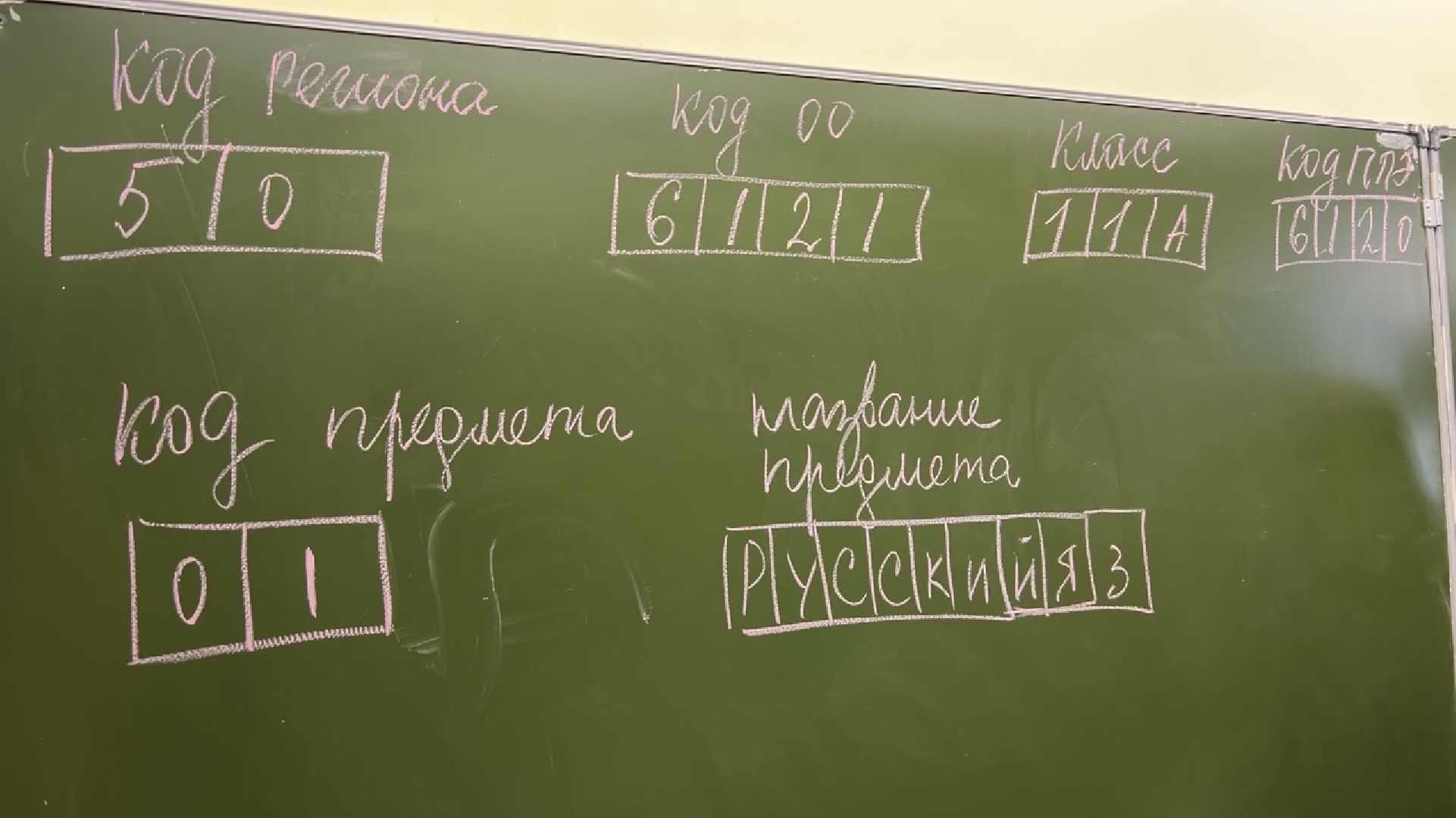 химки, образование, егэ, школа,