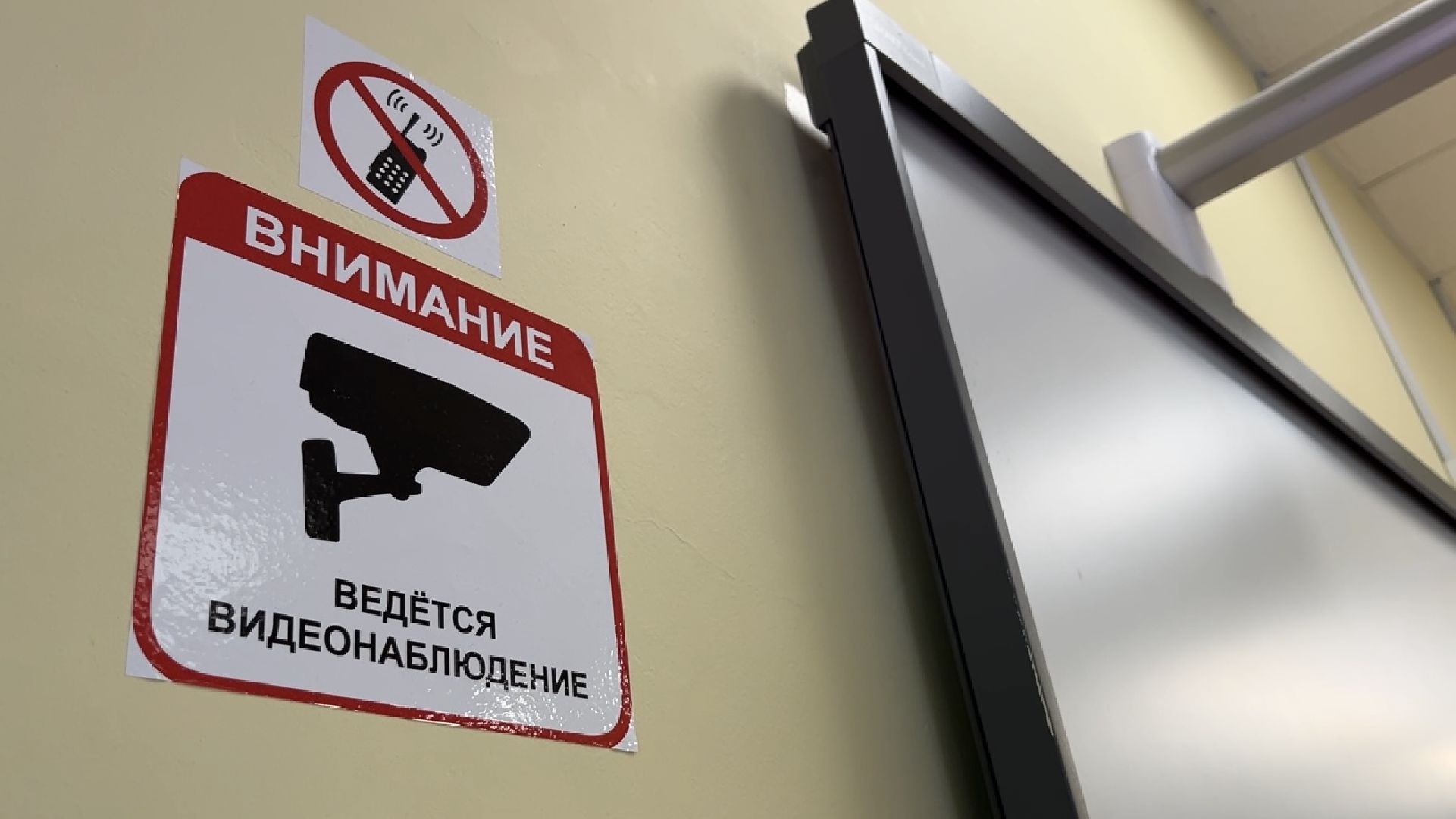 химки, образование, егэ, школа,