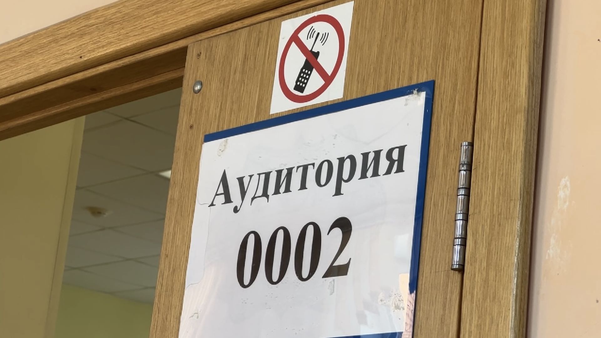 химки, образование, егэ, школа,