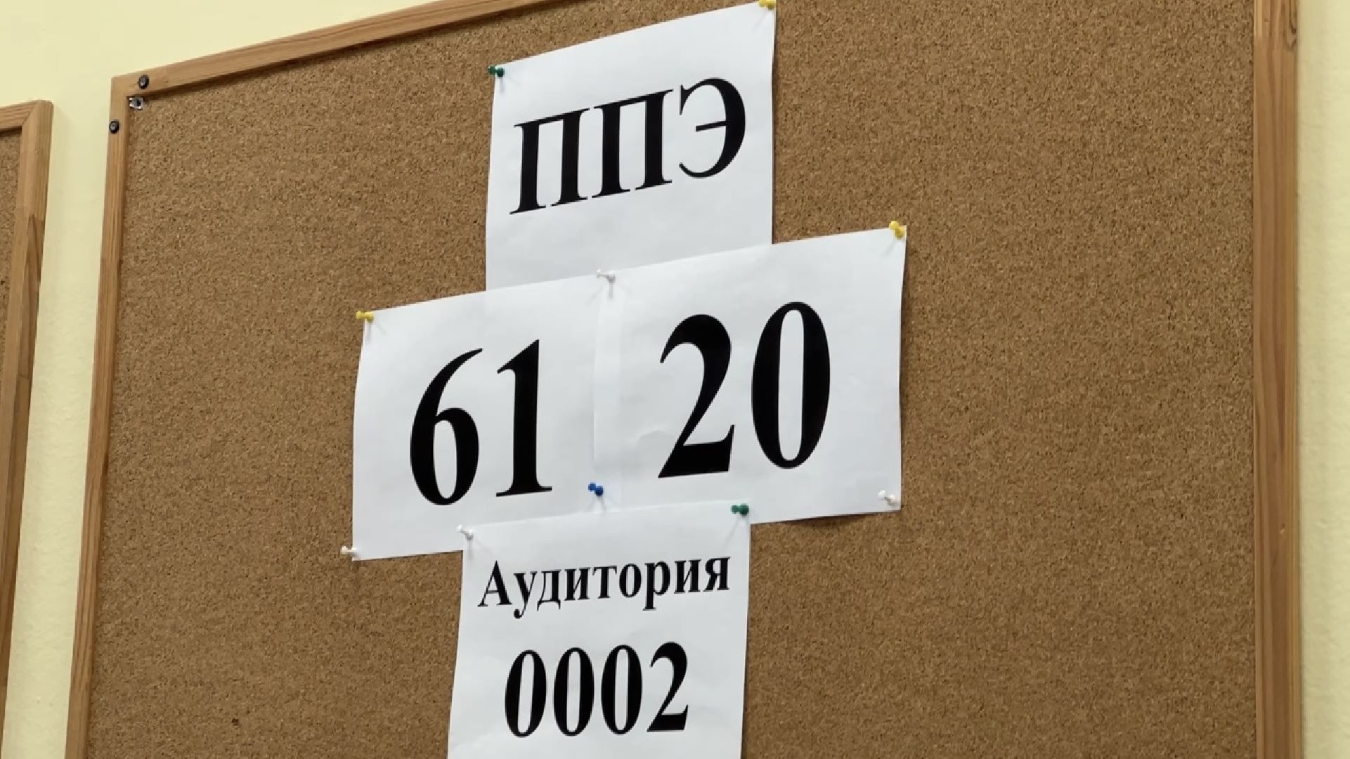 химки, образование, егэ, школа,