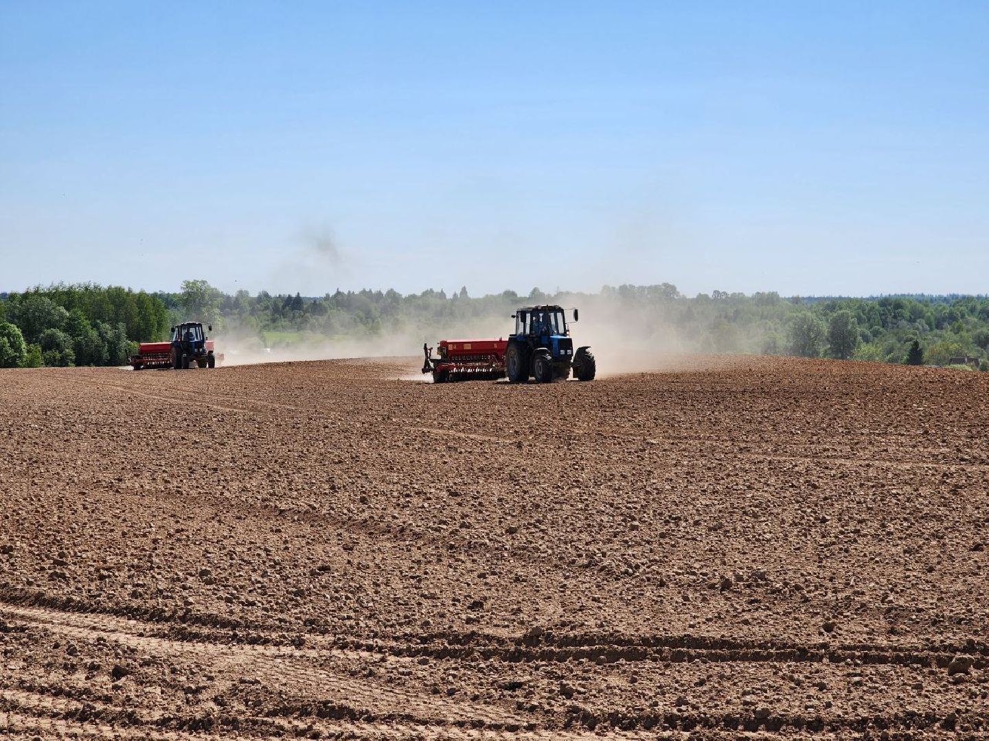 можайск, можайский городской округ, подмосковье, колхоз, колхоз уваровский, сельское хозяйство, посевная кампания, поля, зерновые культуры,
