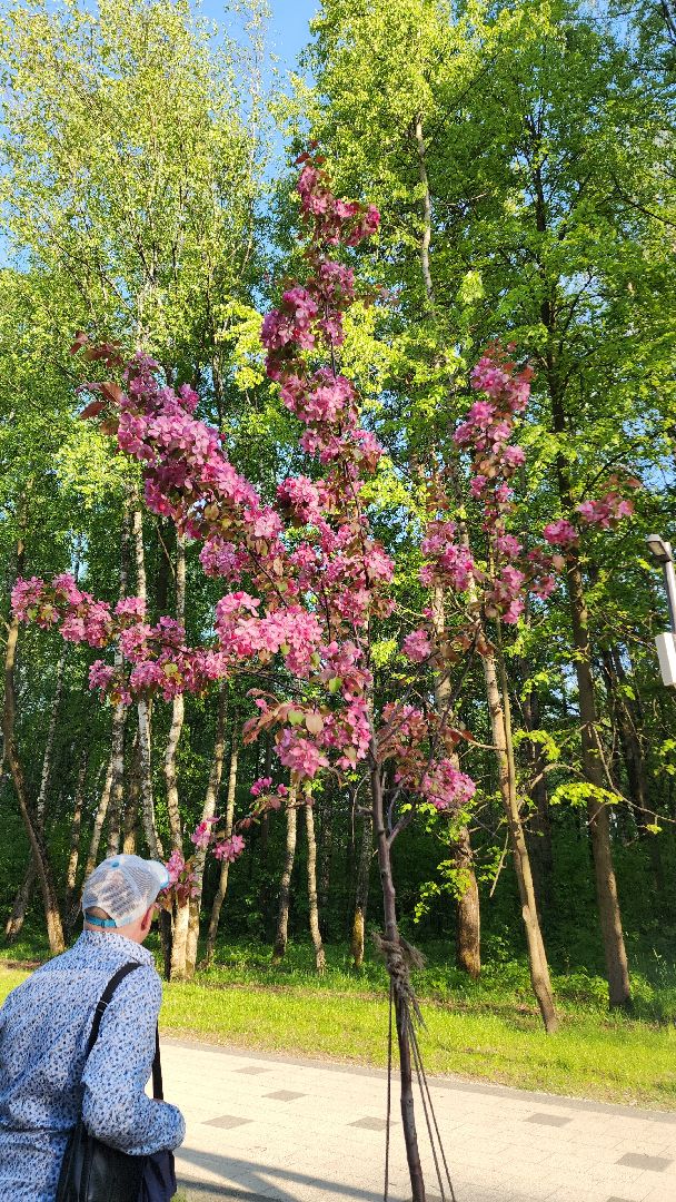 электросталь, мой город, жители города, водоём, водоемы, пляж, летний сезон, летний отдых, лето в подмосковье,