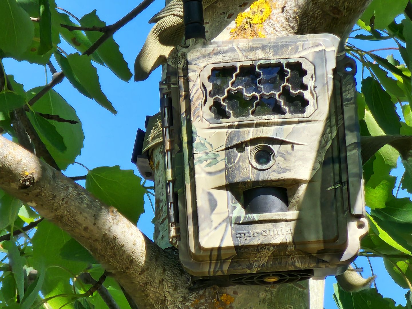 фотоловушки, незаконный вывоз мусора, штраф, экология, Безопасность, Руза, рузский городской округ, московская область,