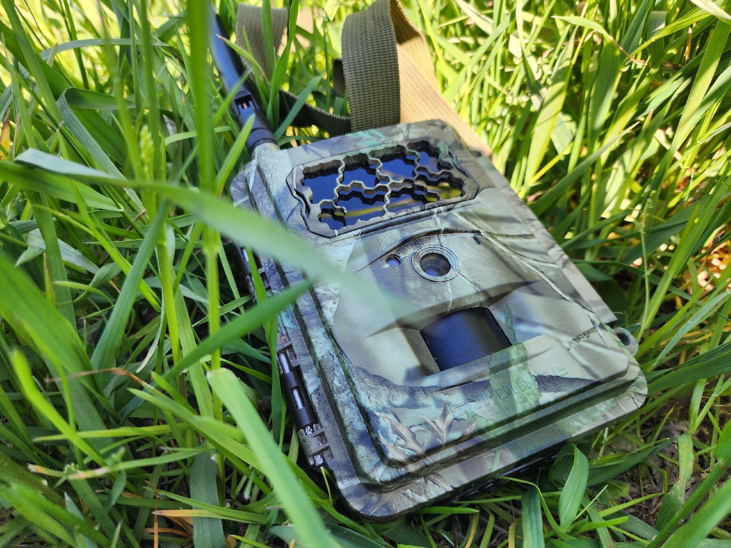 фотоловушки, незаконный вывоз мусора, штраф, экология, Безопасность, Руза, рузский городской округ, московская область,