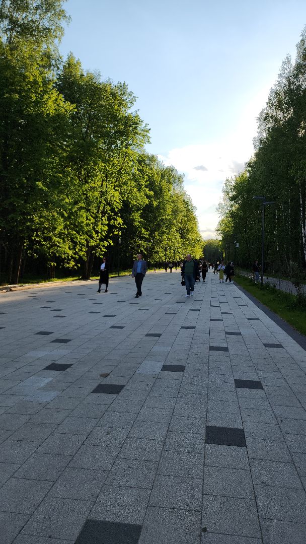 электросталь, мой город, безопасность, пожарная безопасность, мчс, мчс россии, пожароопасный сезон, шашлыки, шашлык в лесу, шашлык у озера,