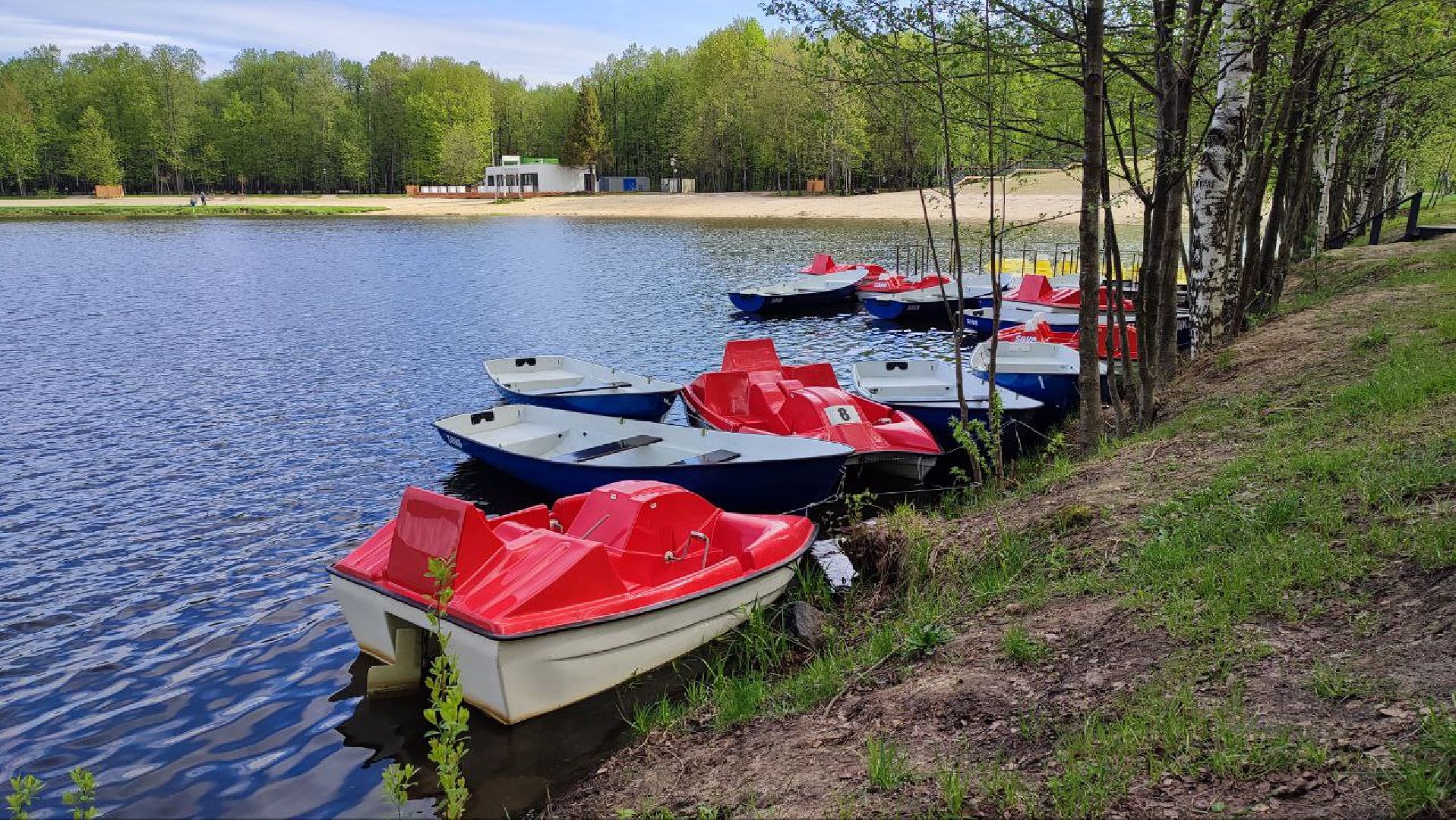 электросталь, мой город, безопасность, пожарная безопасность, мчс, мчс россии, пожароопасный сезон, шашлыки, шашлык в лесу, шашлык у озера,