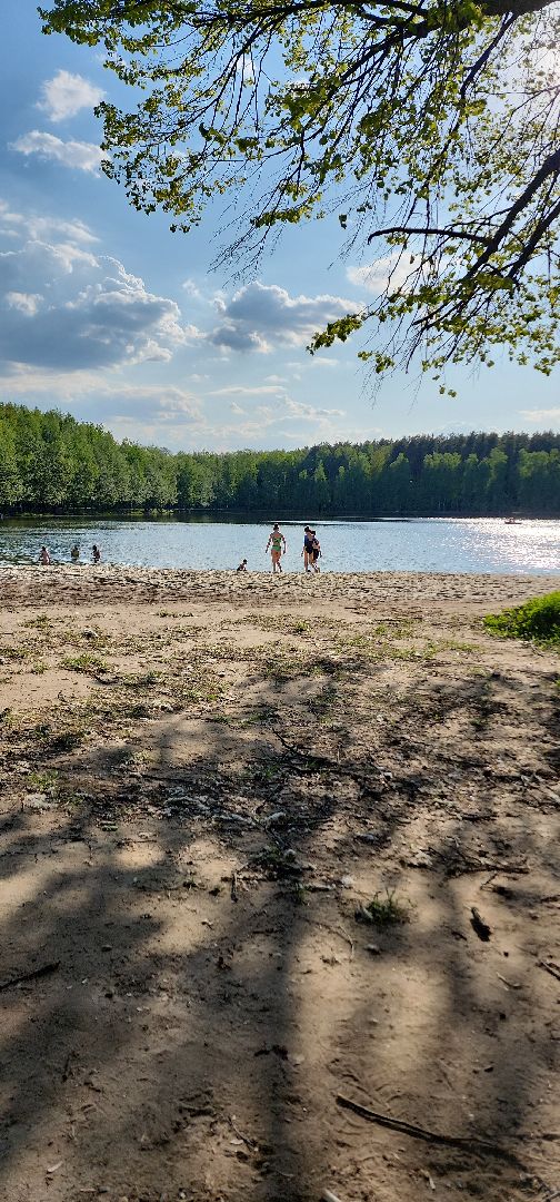 электросталь, мой город, безопасность, пожарная безопасность, мчс, мчс россии, пожароопасный сезон, шашлыки, шашлык в лесу, шашлык у озера,