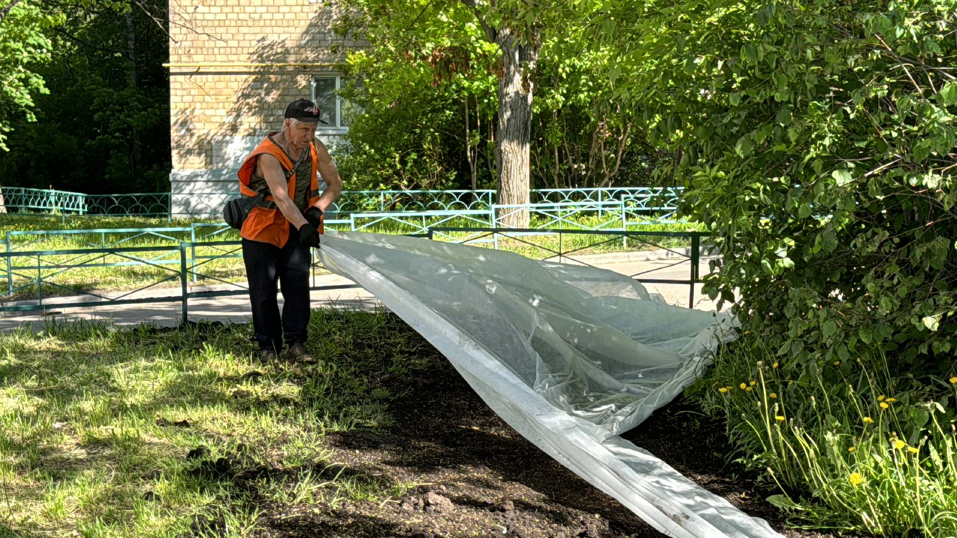 Одинцово, благоуйстройство, озеленение,