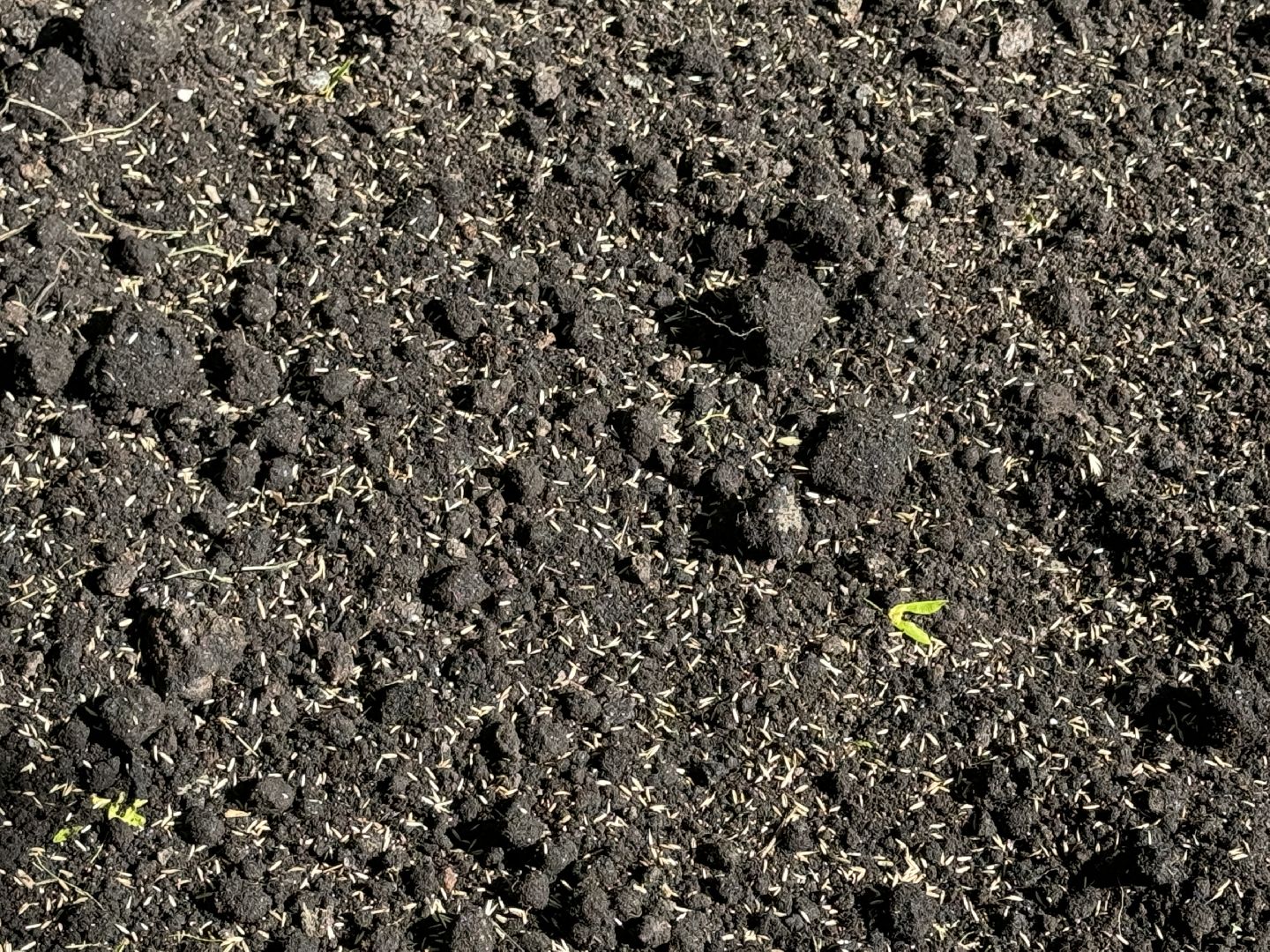 Одинцово, благоуйстройство, озеленение,