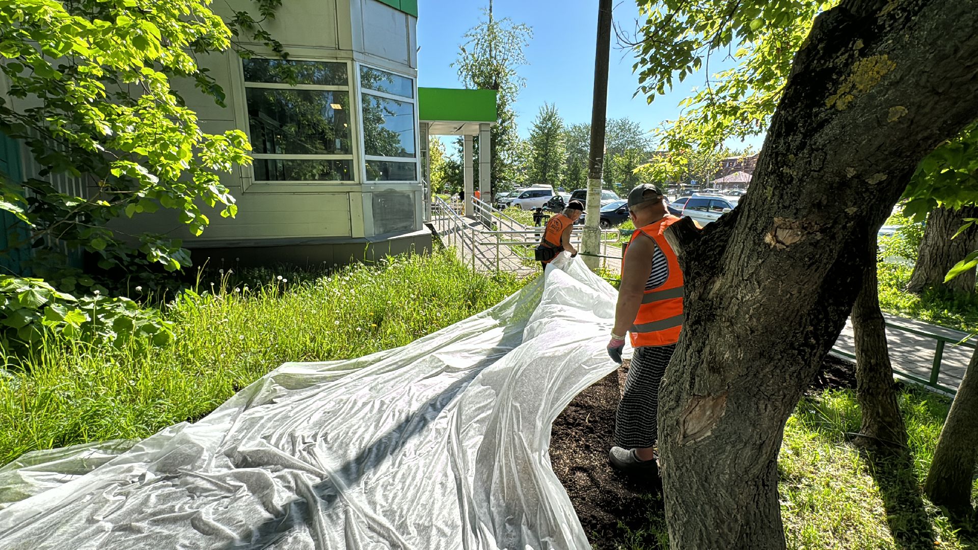 Одинцово, благоуйстройство, озеленение,