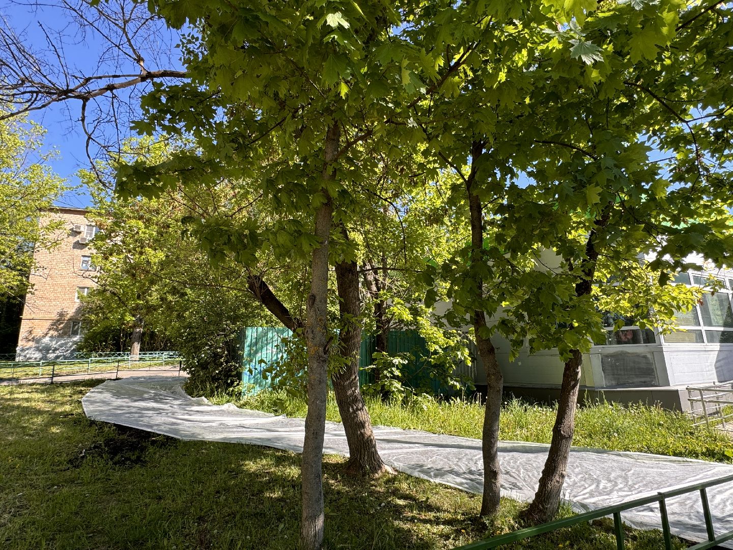 Одинцово, благоуйстройство, озеленение,