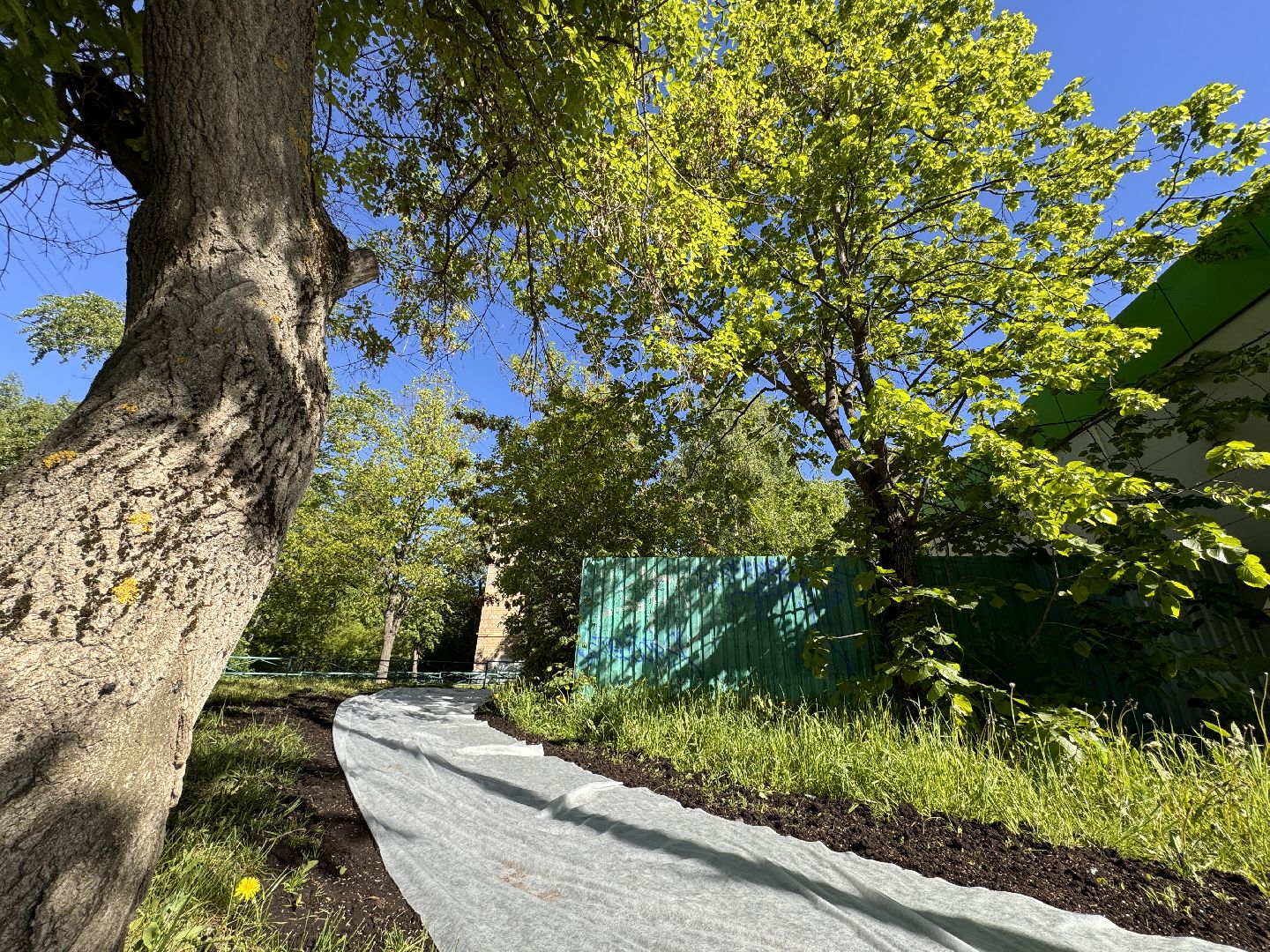 Одинцово, благоуйстройство, озеленение,