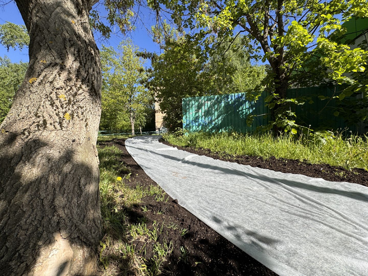 Одинцово, благоуйстройство, озеленение,