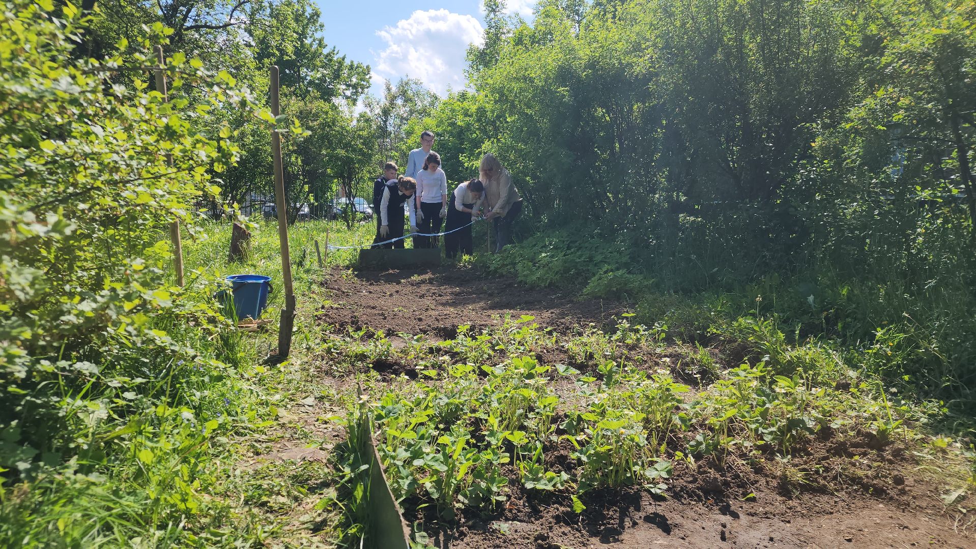 ступино, образование подмосковья, школы подмосковья,
