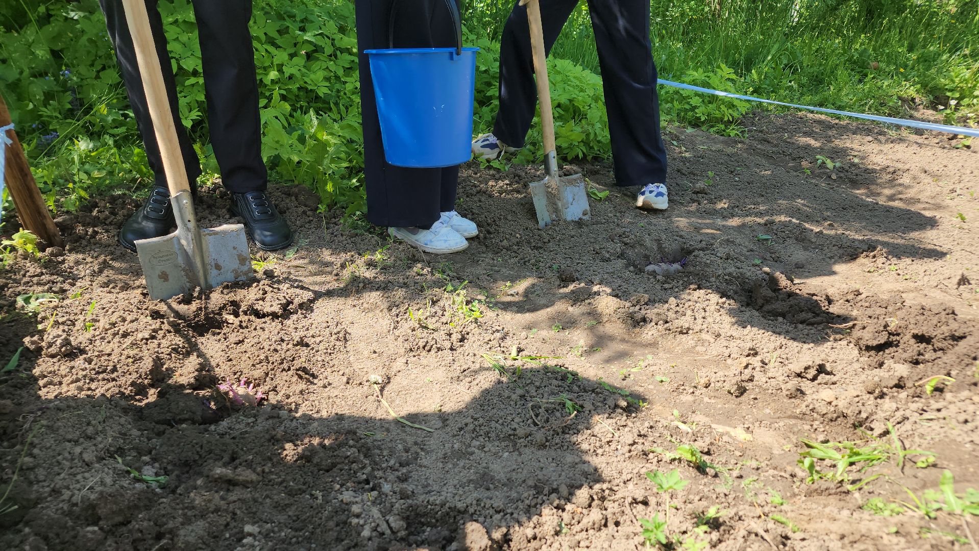 ступино, образование подмосковья, школы подмосковья,