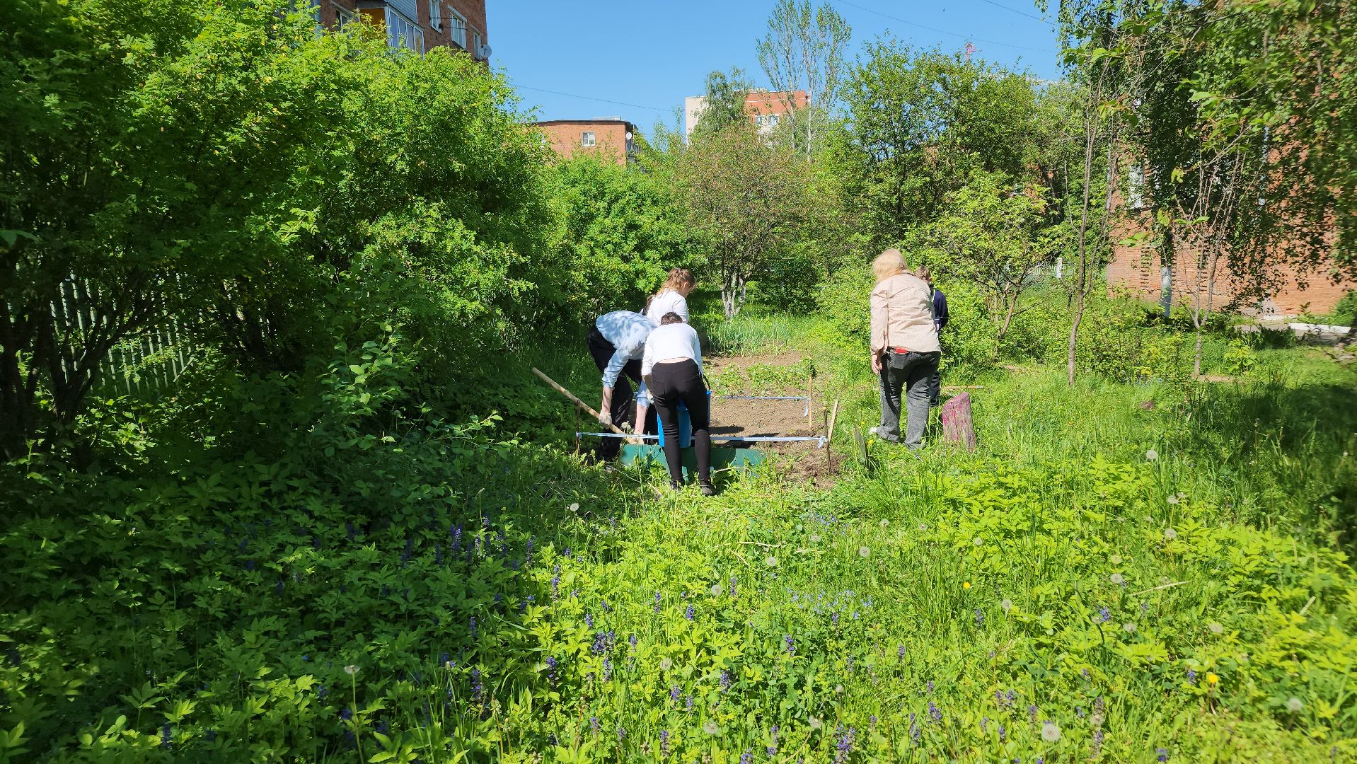 ступино, образование подмосковья, школы подмосковья,