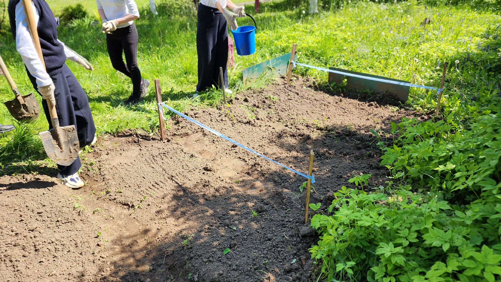 ступино, образование подмосковья, школы подмосковья,