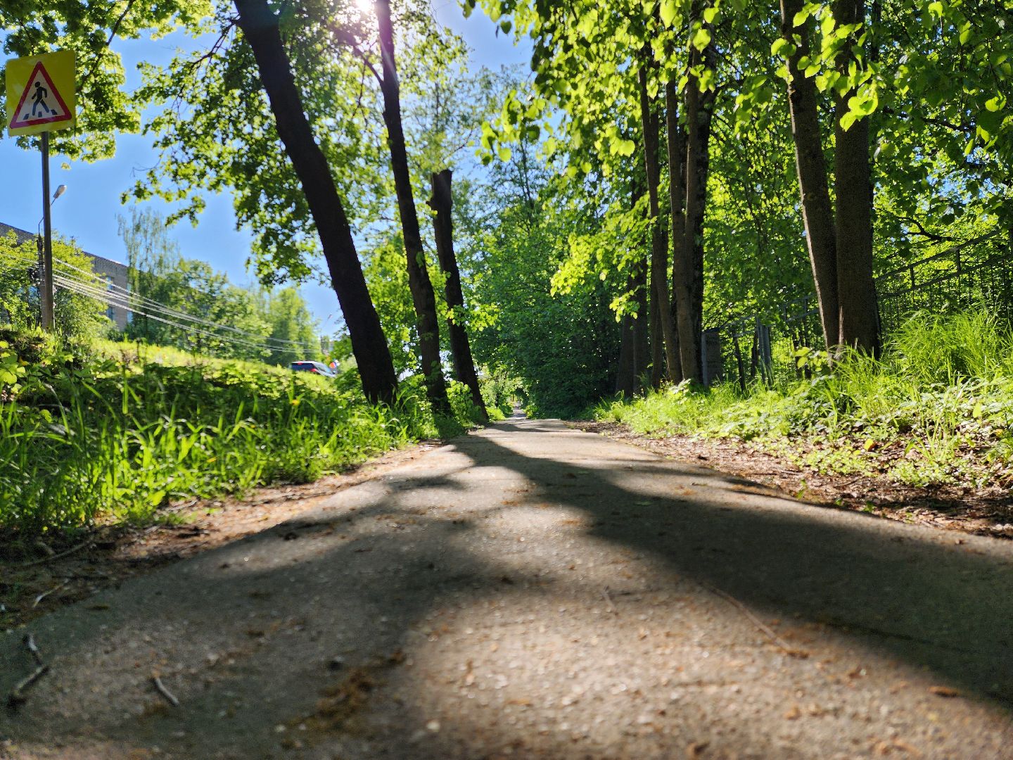выездная администрация, николай пархоменко, руза, тучково, школа, образование, рузский городской округ,